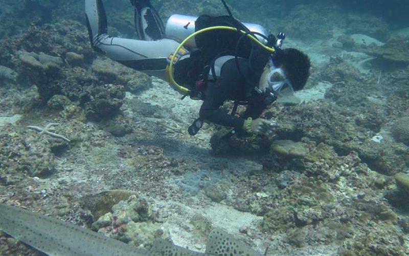 Andaman Dive Adventures
