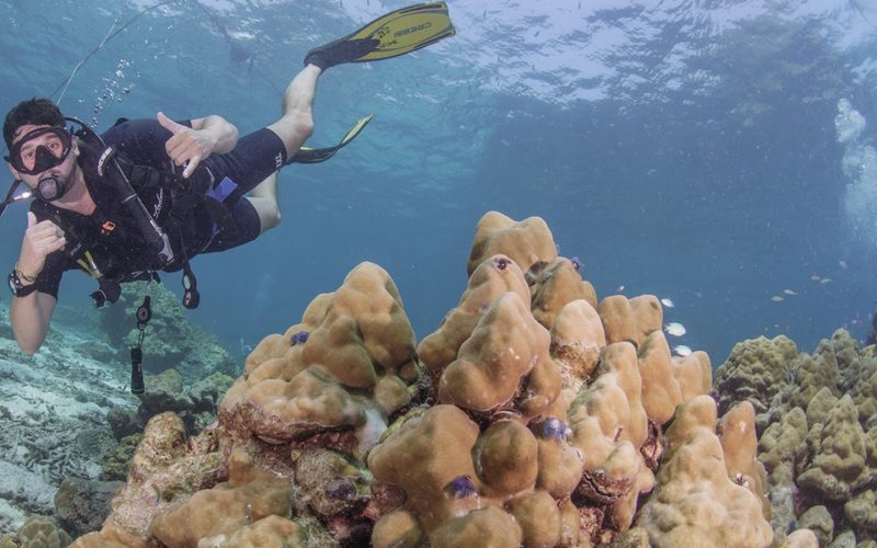 Andaman Dive Adventures