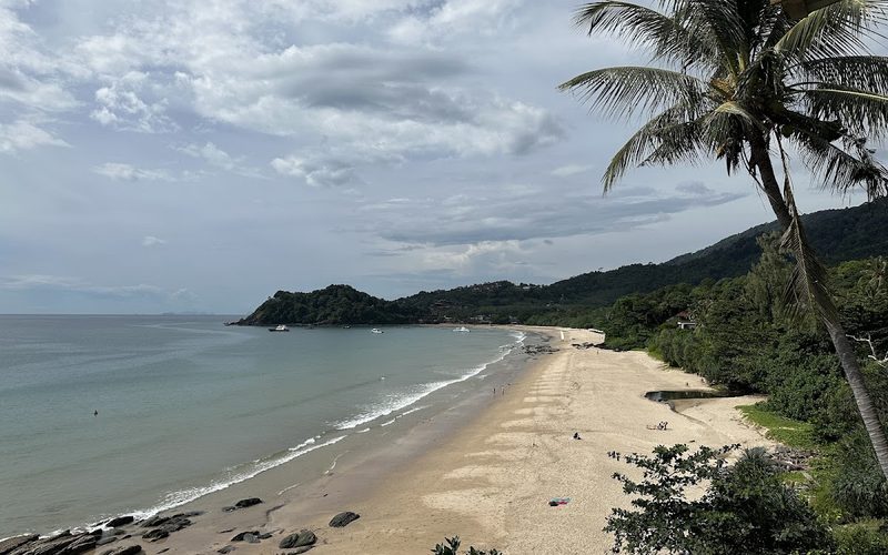 Bamboo Bay