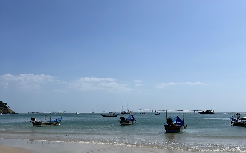 Bamboo Bay