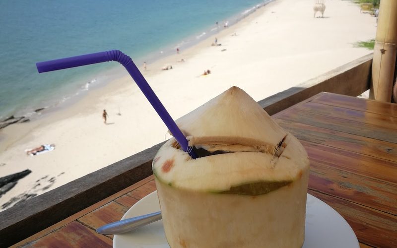 Bamboo Bay