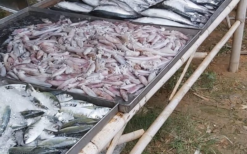 Monday Klong Dao Fresh Market