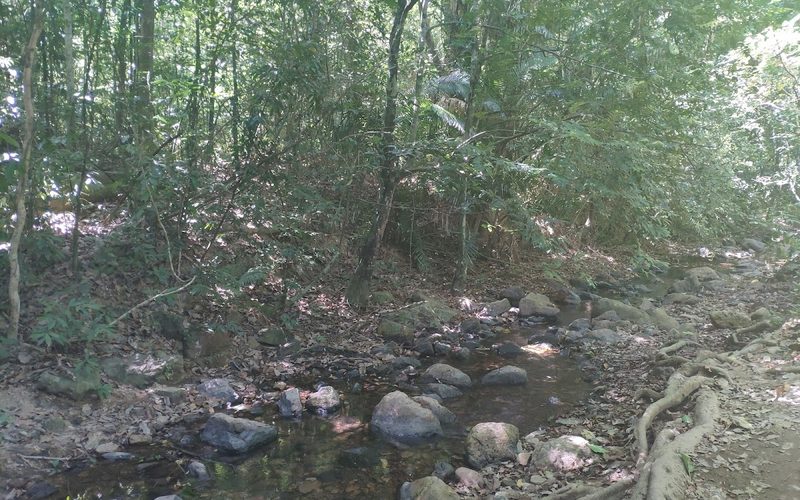 Klong Chak Bat Cave
