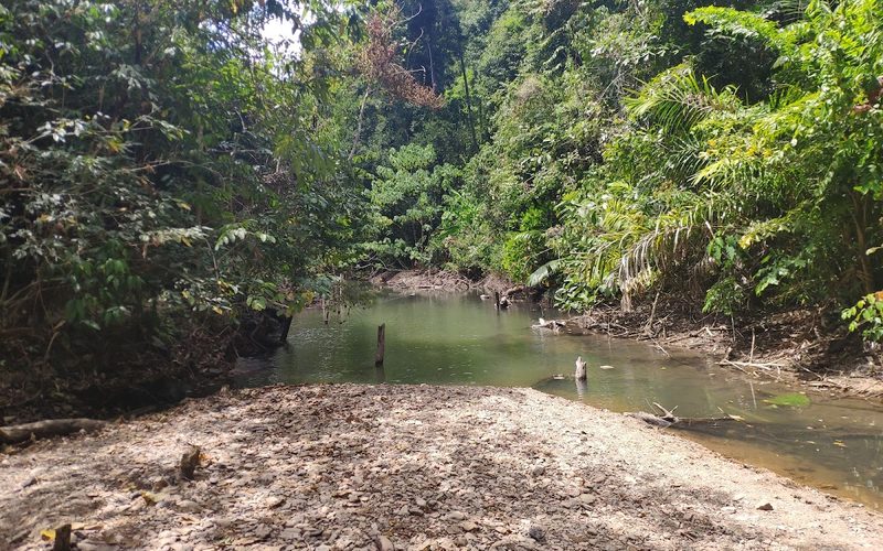 Klong Chak Bat Cave