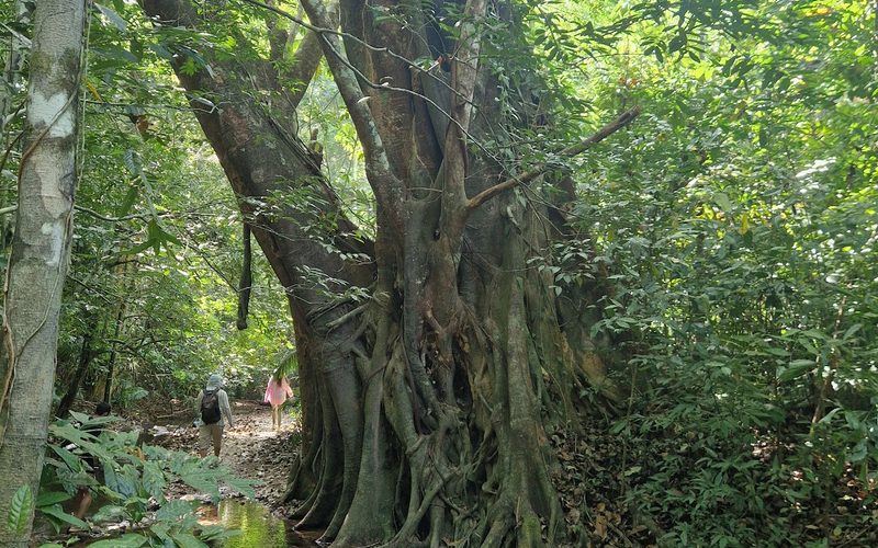 Klong Chak Waterfall