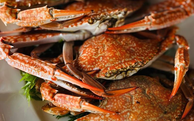 Laanta Seafood