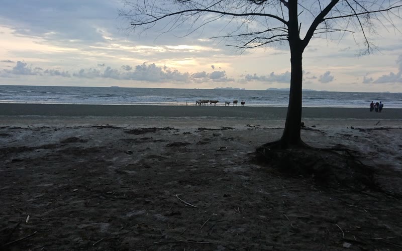 Lang Sot Beach