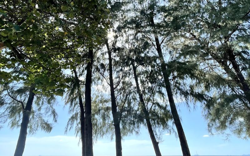 Lang Sot Village