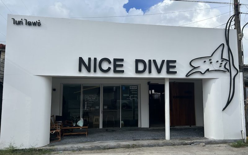 Nice Dive