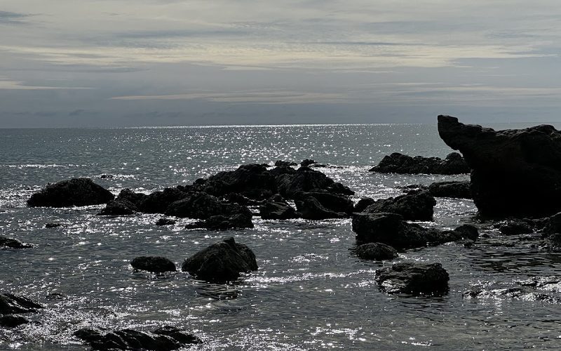 Relax Bay
