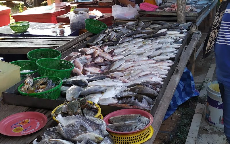 Thursday Food Market