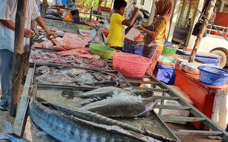 Thursday Food Market